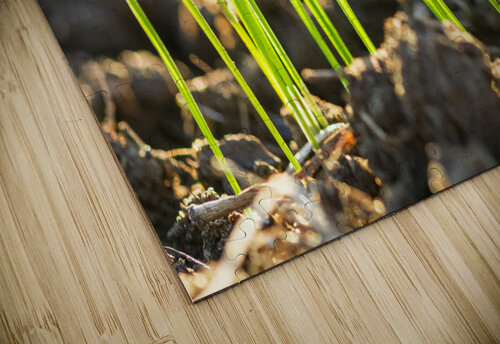 Spring caladoart puzzle