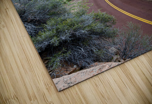 Curvy Desert Road caladoart puzzle