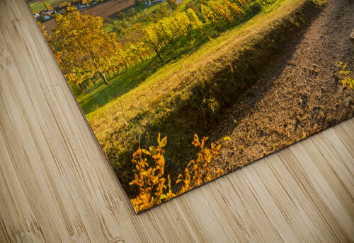 Vineyard Trail caladoart puzzle