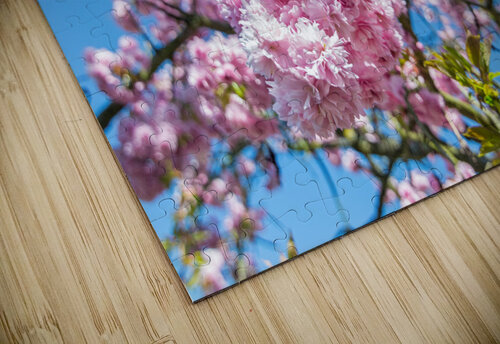 Cherry Blossom caladoart puzzle