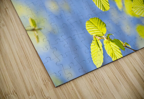 Spring Leaves caladoart puzzle