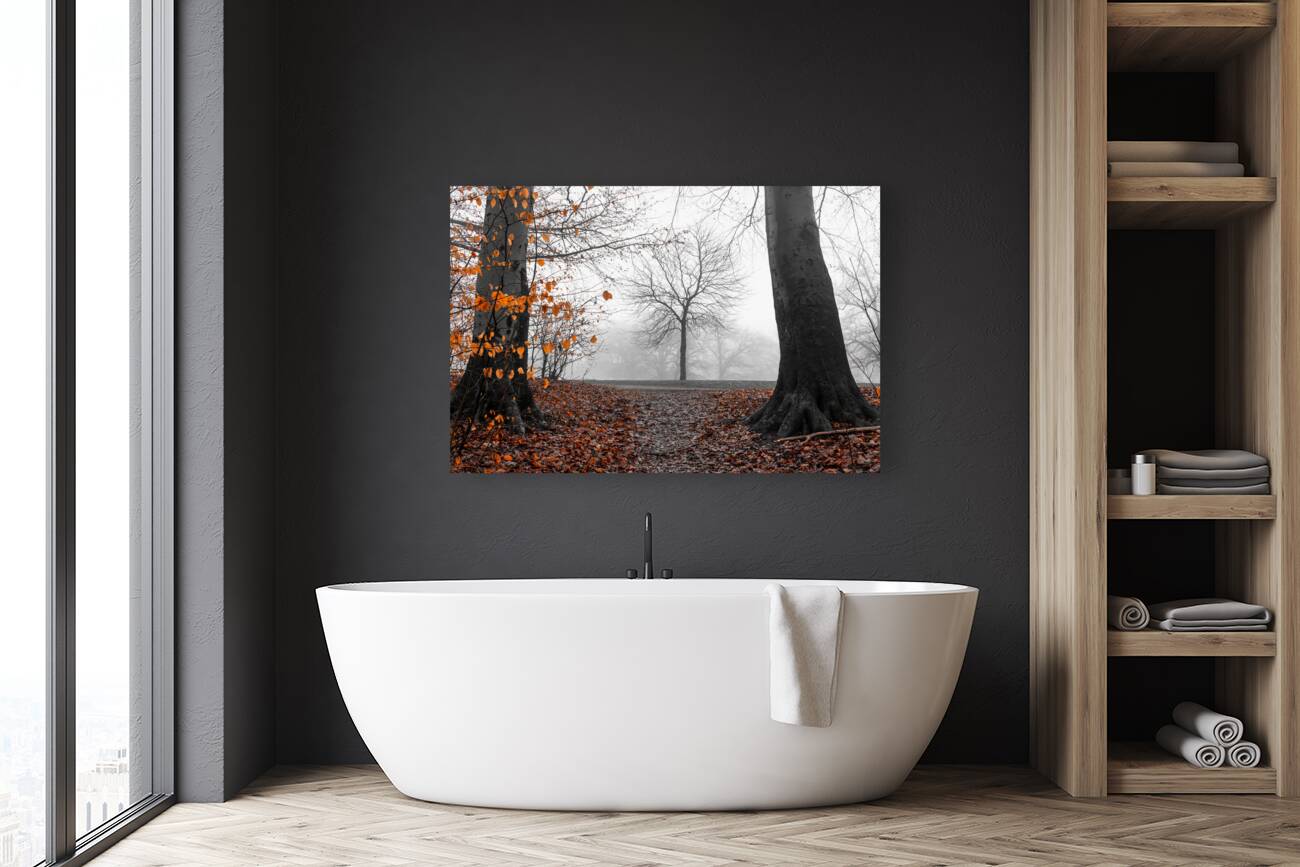 Trees and orange leaves in a park on a foggy morning  Reproduction