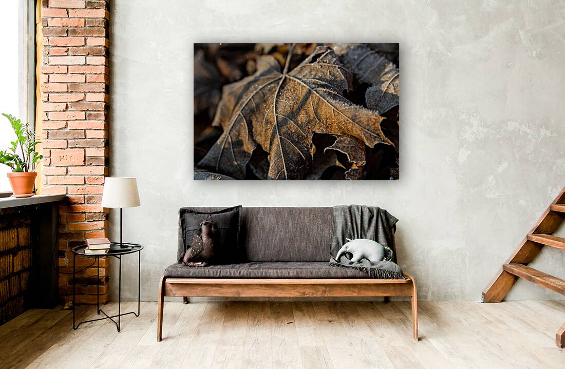 Closeup macro shot of withered brown maple leaf covered by beautiful ice crystals  Reproduction