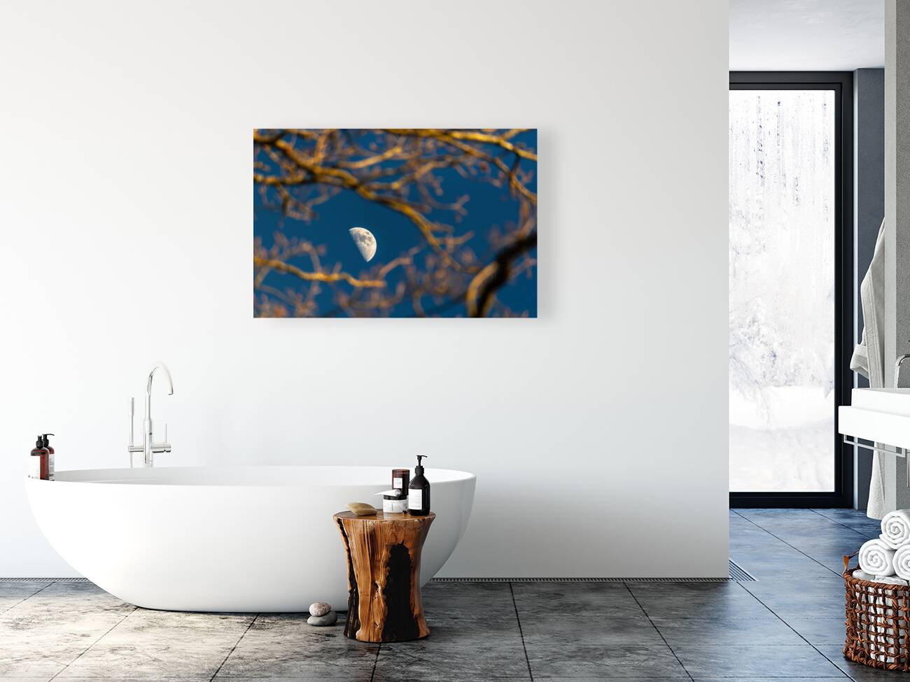 Beautiful image of a crescent moon seen through three branches at sunset  Reproduction