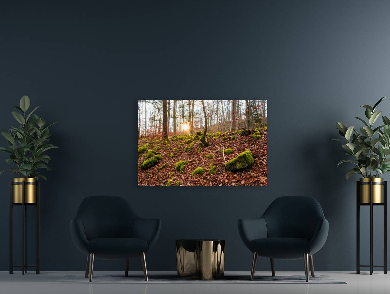 Evening sun reflecting on beautiful moss covered rocks in the forest  Reproduction