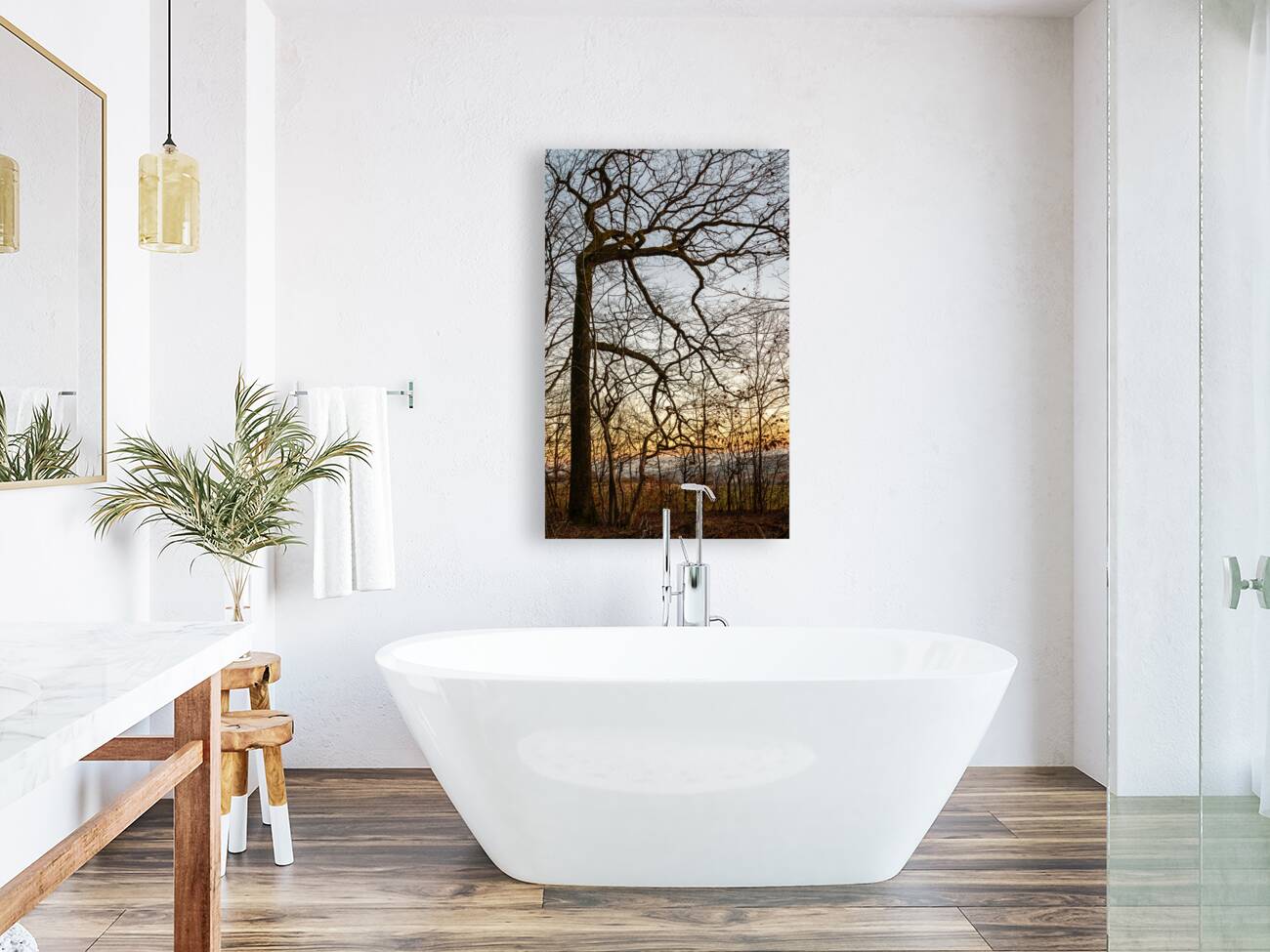 Beautifully shaped tree at the edge of the forest at sunset  Reproduction