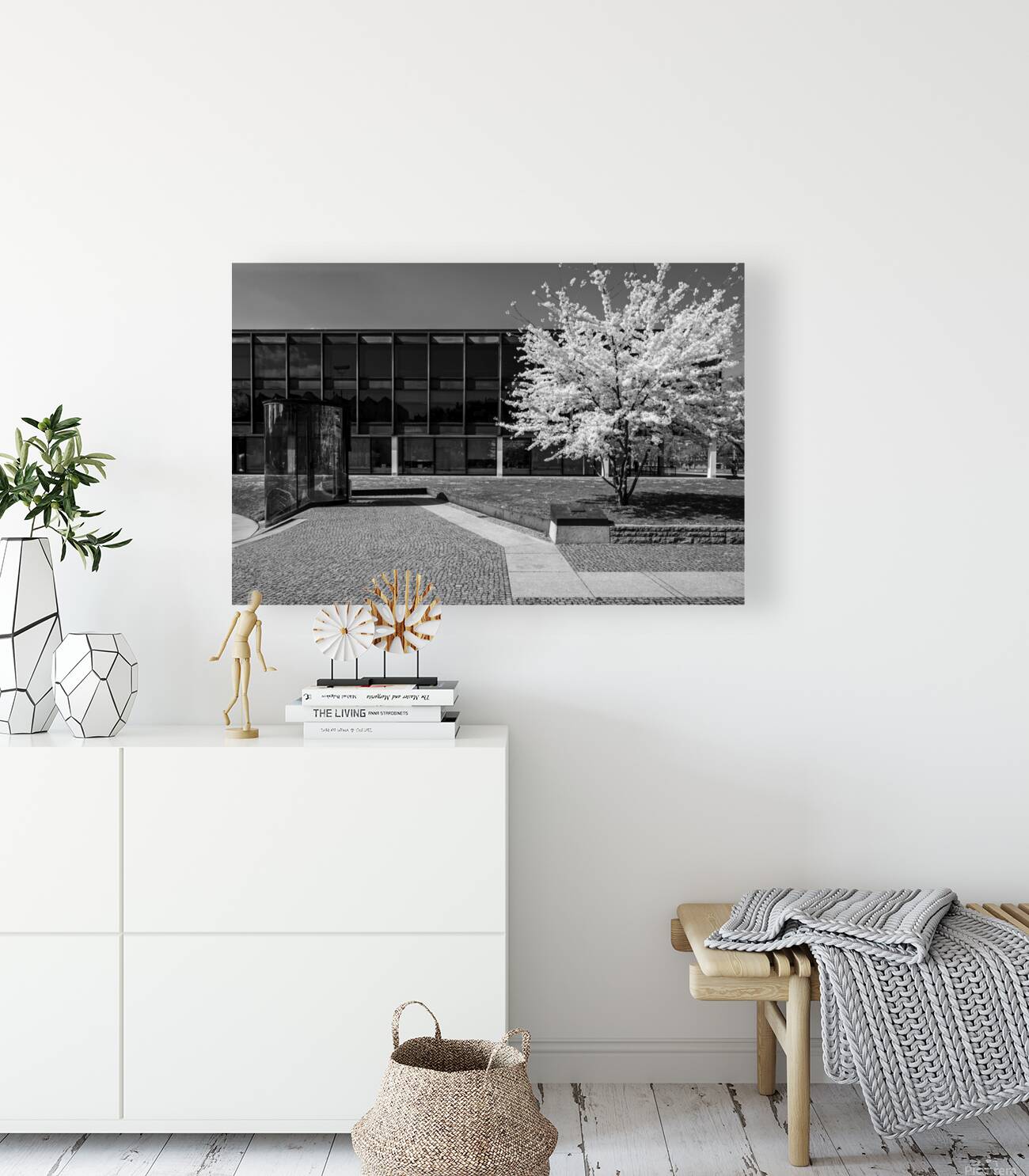 Black and White Spring Reproduction