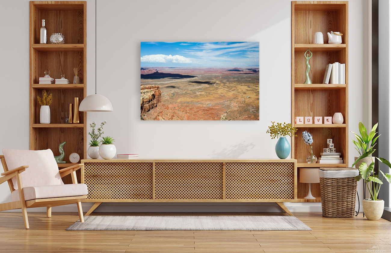 Desert USA Reproduction