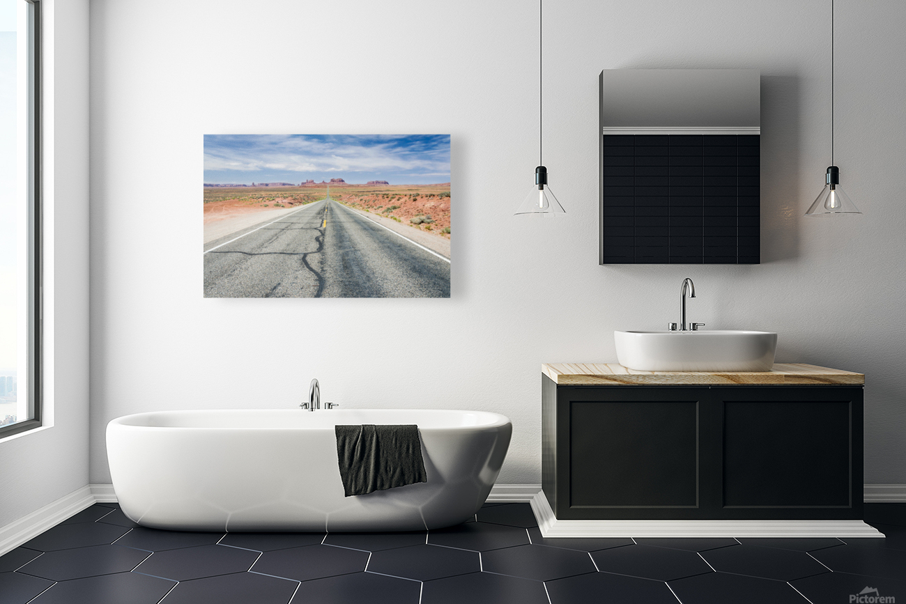 Desert Road Reproduction