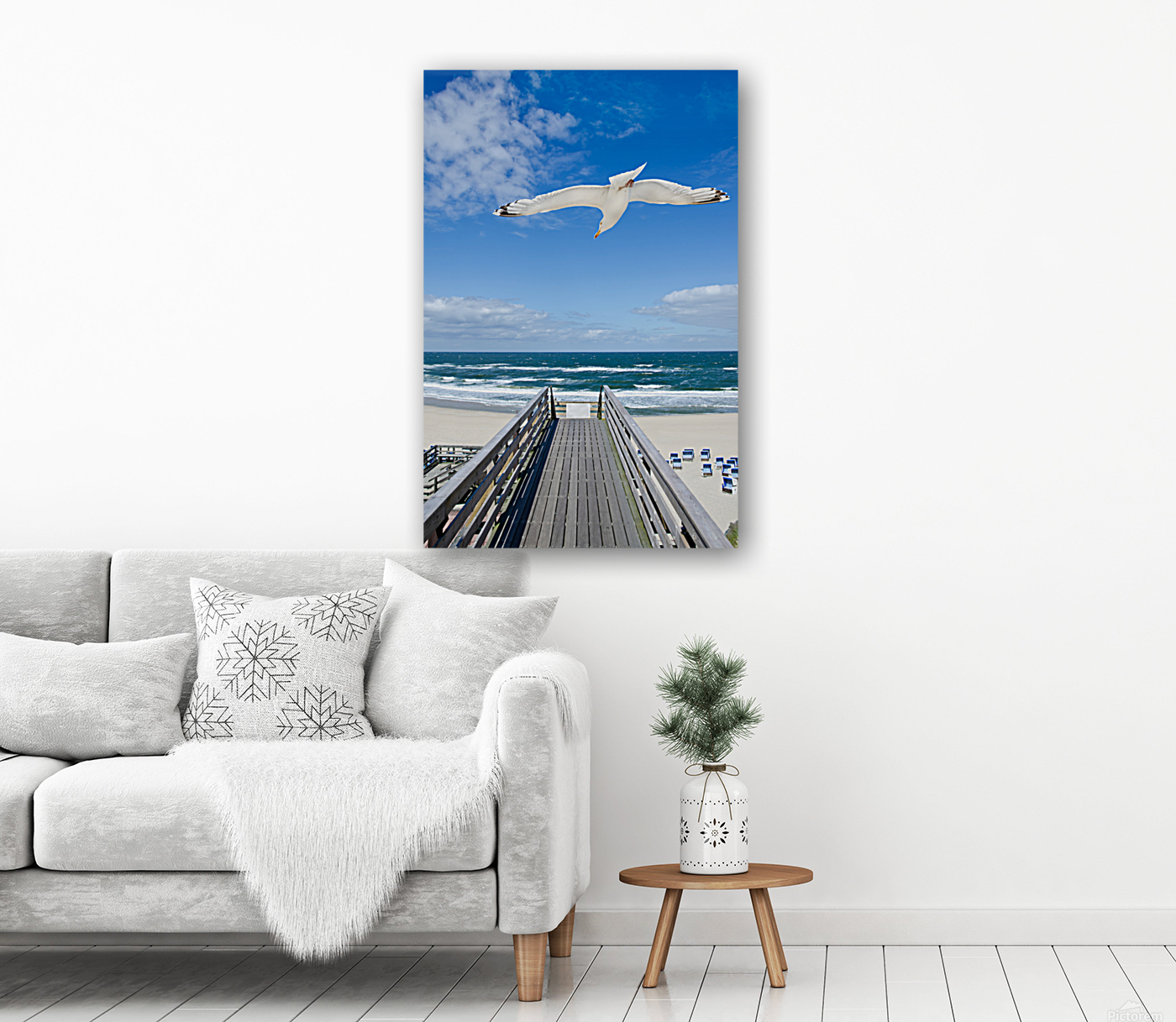 Seagull Reproduction