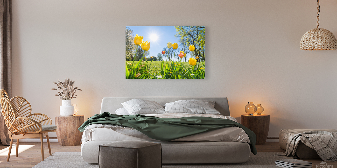 Tulips Reproduction