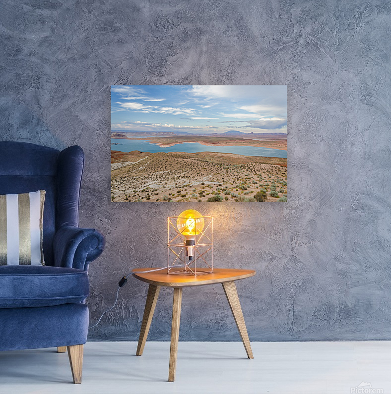 Desert Twilight Reproduction