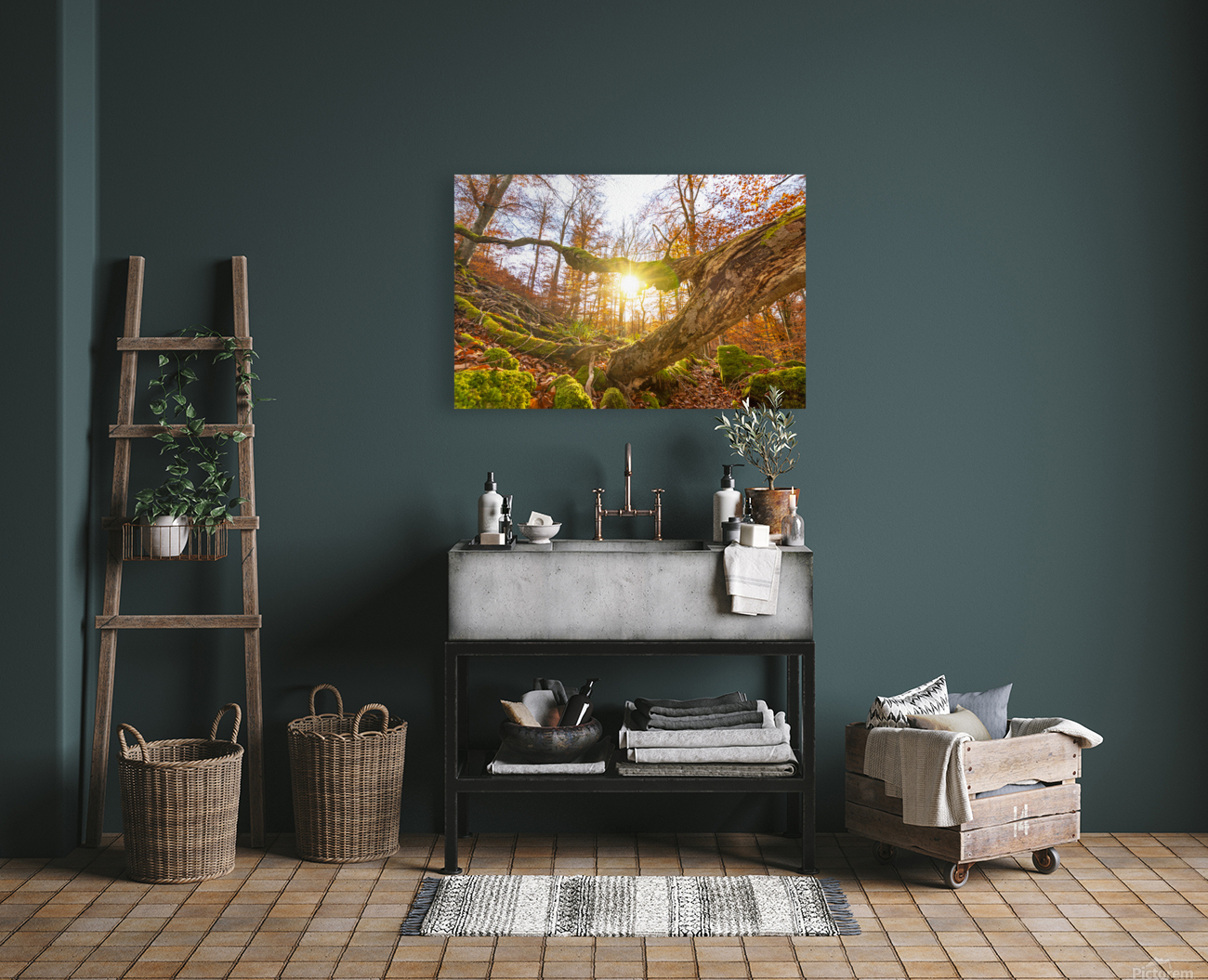 Autumn Forest Reproduction
