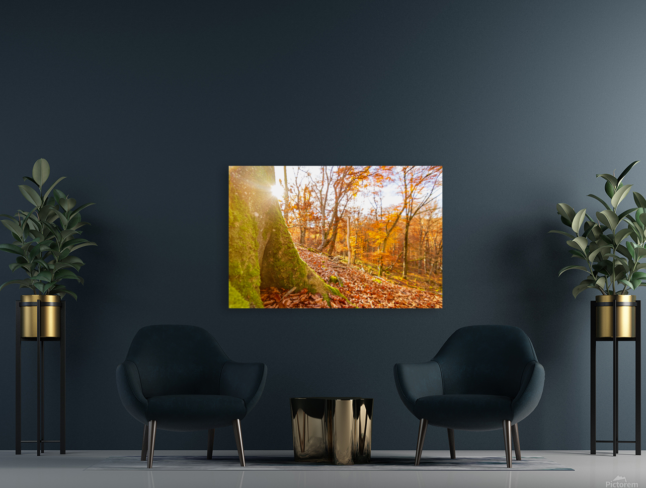 Autumn Tree Trunk Reproduction