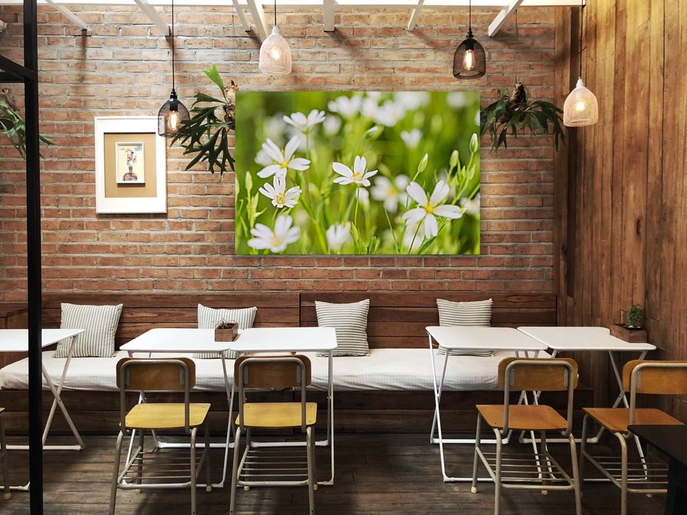 White Flowers Reproduction