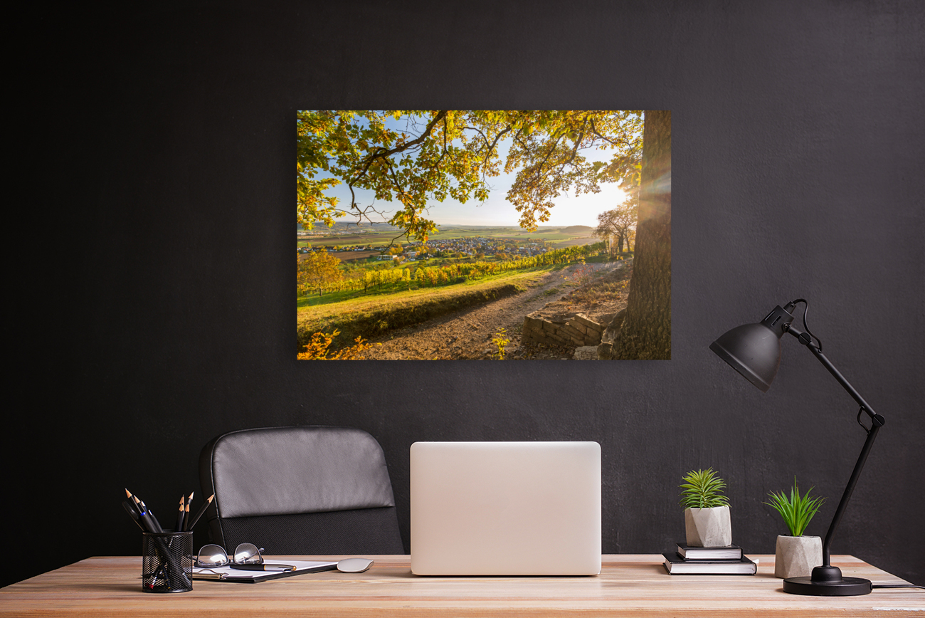 Vineyard Trail Reproduction