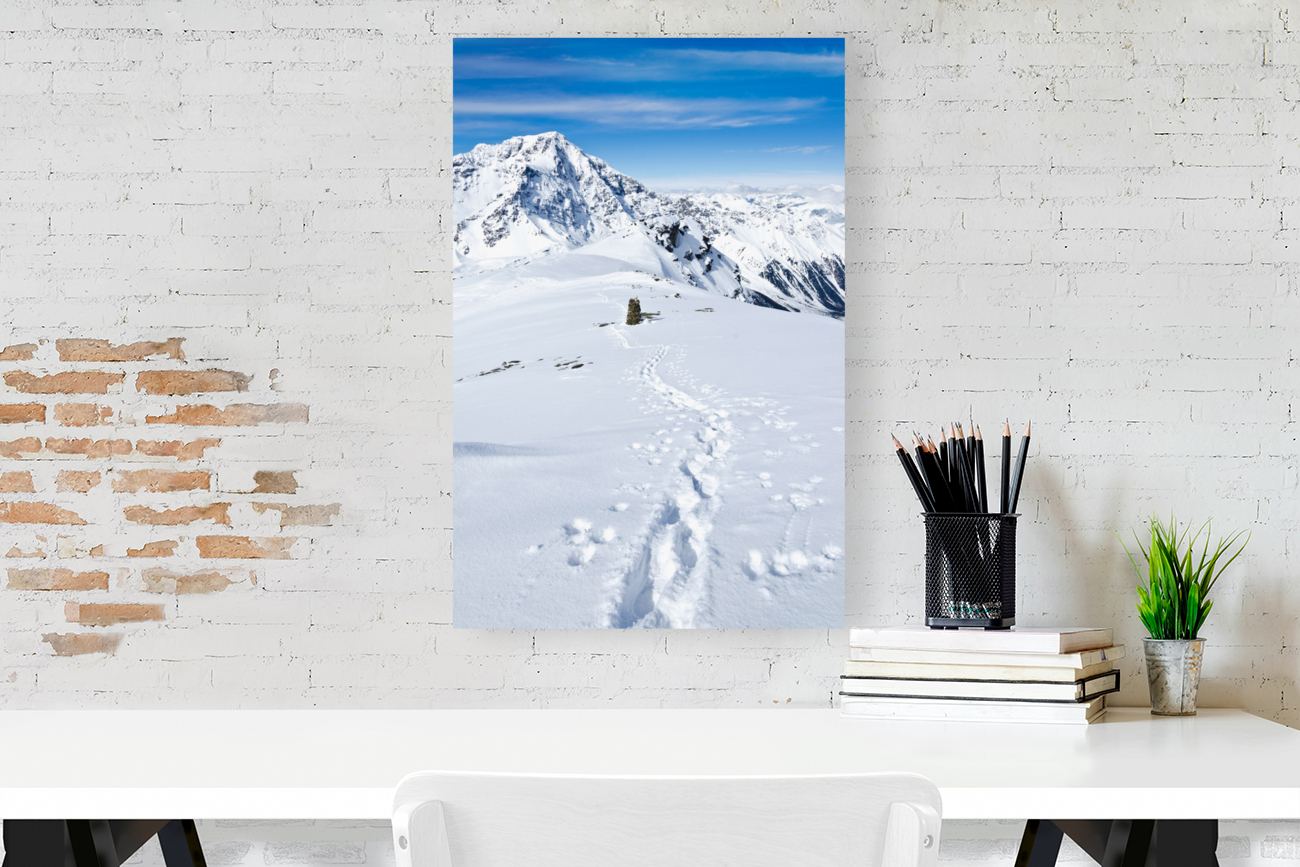 Ski Tour Reproduction