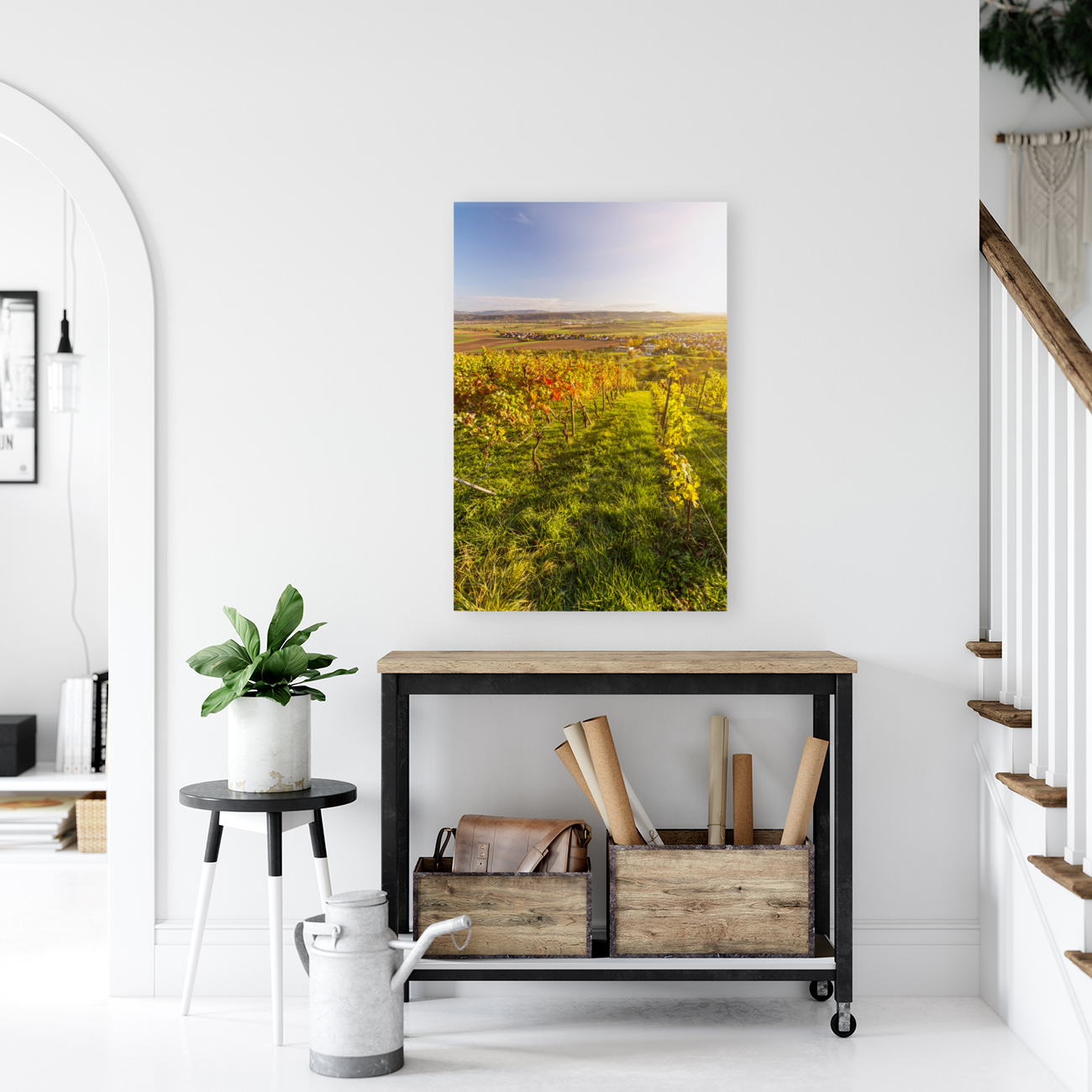 Vineyard Sunset Reproduction