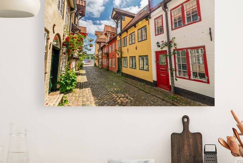 Picturesque historic street in the old town of Flensburg Germany  by caladoart