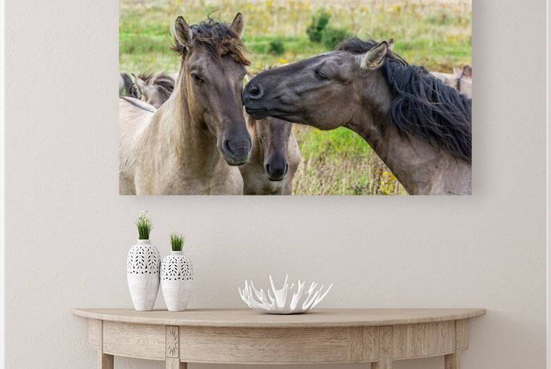 Wild horse Konik giving its companion a kiss  by caladoart