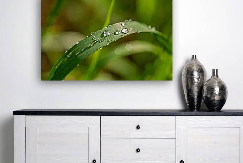 Closeup macro shot of fresh glittering dewdrops on green blade of grass by caladoart