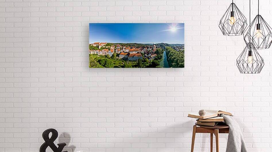 High-res panorama aerial view of the old town and riverfront of Tübingen Germany  by caladoart