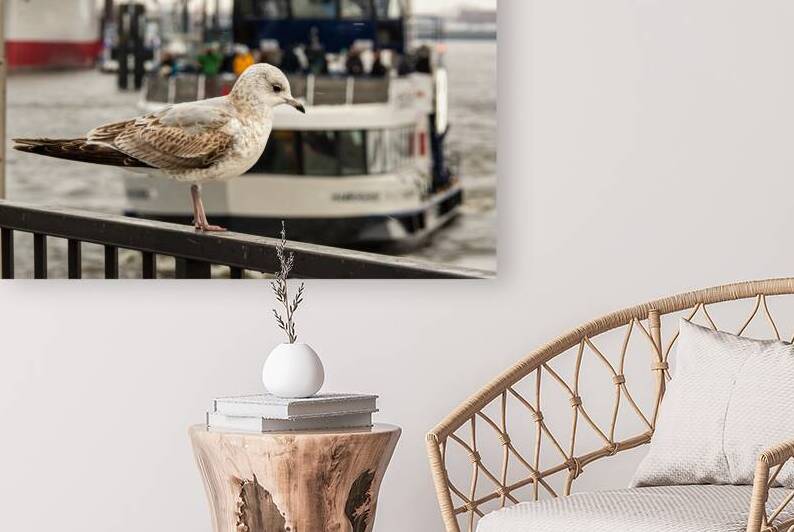 Seagull sitting at the pier in St. Pauli Landungsbrücken in Hamburg in front of harbor ferry by caladoart
