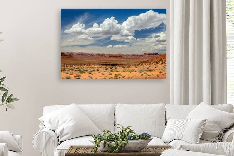 Scenic clouds over red desert landscape in the Valley of the Gods in Utah by caladoart