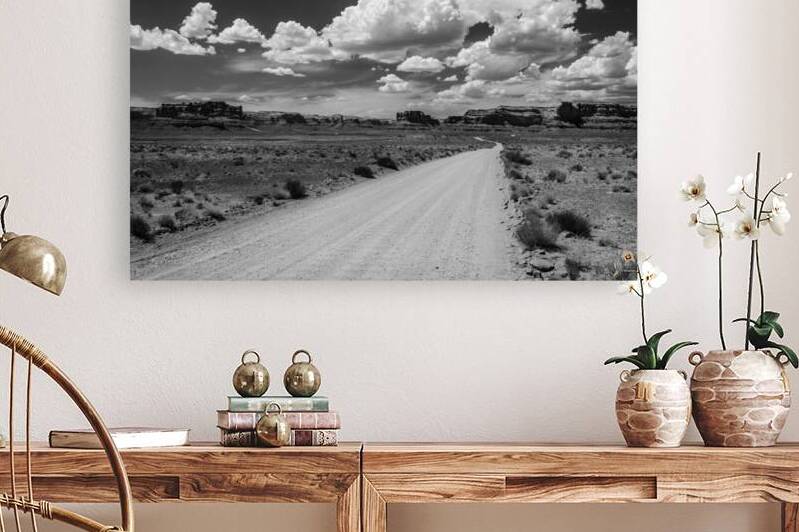 Black and white shot of road in scenic desert landscape in the Valley of the Gods in Utah by caladoart