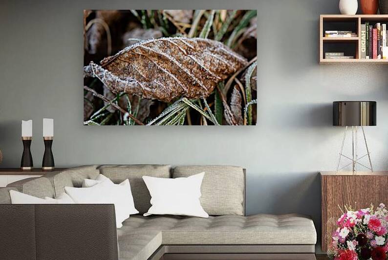 Closeup macro shot of a beautiful leaf in the grass covered by ice crystals  by caladoart