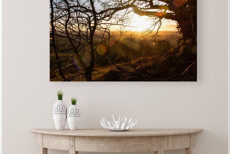 Setting sun shining through the branches of a beautiful old tree in front of countryside  by caladoart