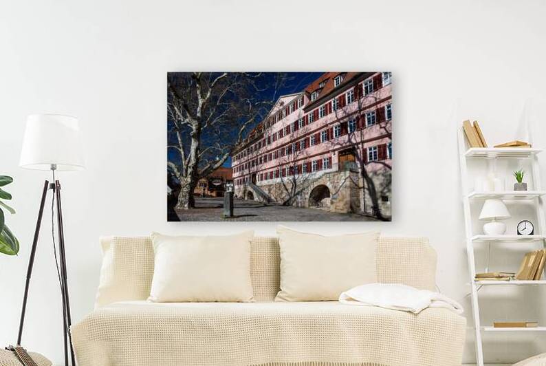 Historic Burse Building in the old town of Tübingen on a sunny day in winter  by caladoart
