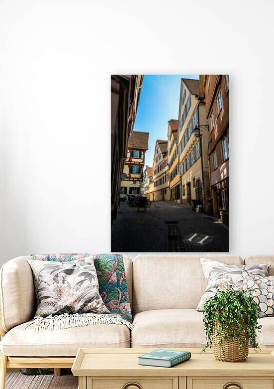 Picturesque back lane in the old town of Tübingen in Southern Germany  by caladoart