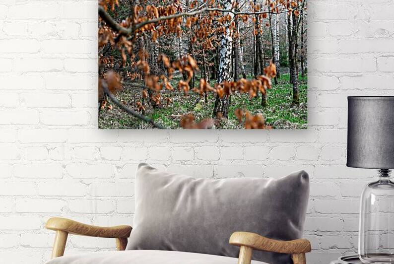 Beautiful birch trees in the forest in early spring  by caladoart
