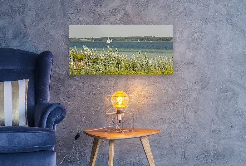Typical vegetation and sailing boat on the Flensburger Forde by caladoart