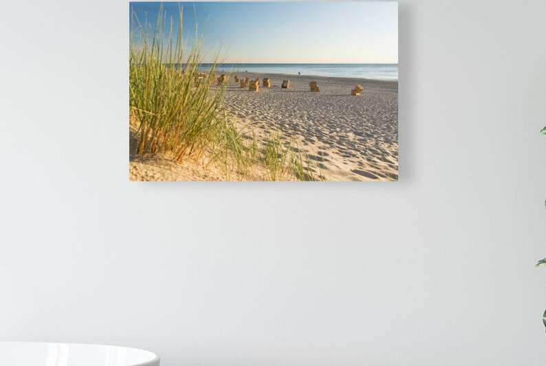 Beach grass on the island of Sylt North Sea Germany  by caladoart