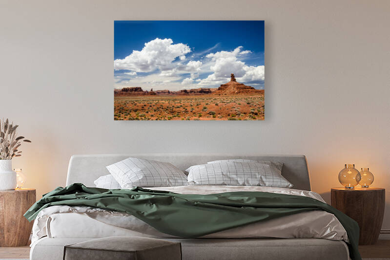 Desert landscape in the Valley of the Gods in Utah USA by caladoart