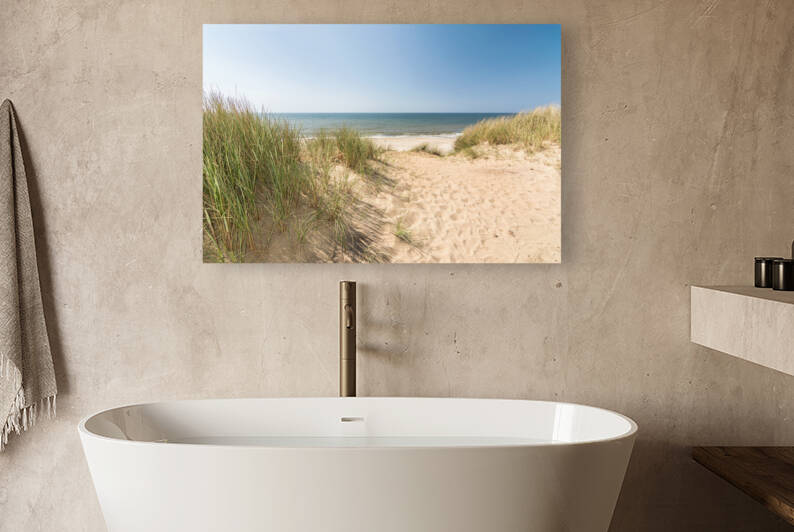 Beach grass in dune landscape on the island of Sylt by caladoart