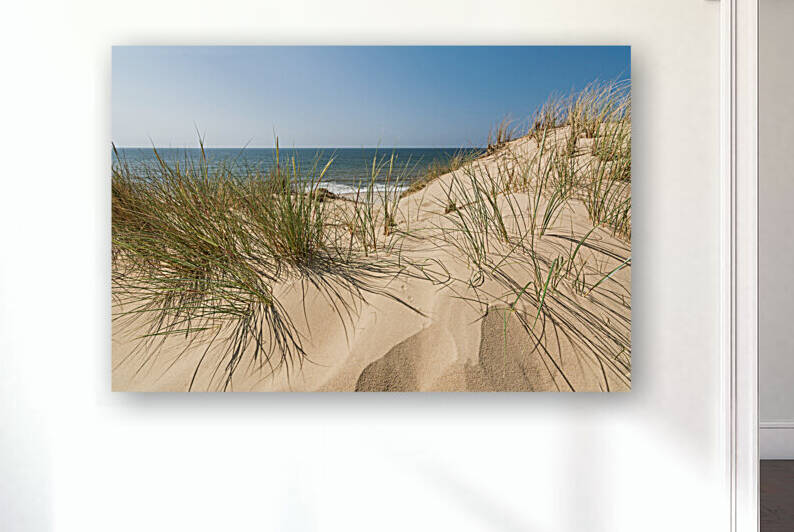 Sand dune and beach grass on the island of Sylt by caladoart