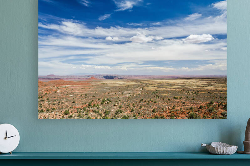 Desert Landscape in the Southwest by caladoart