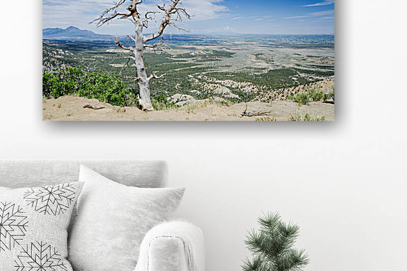 Desert Tree by caladoart