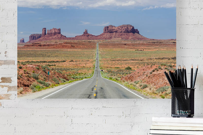 Road towards Monument Valley by caladoart