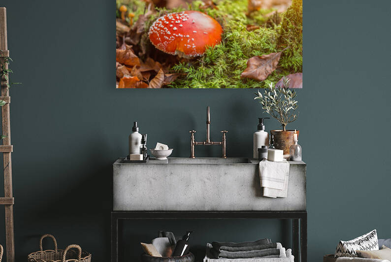 Fly Agaric Mushroom by caladoart