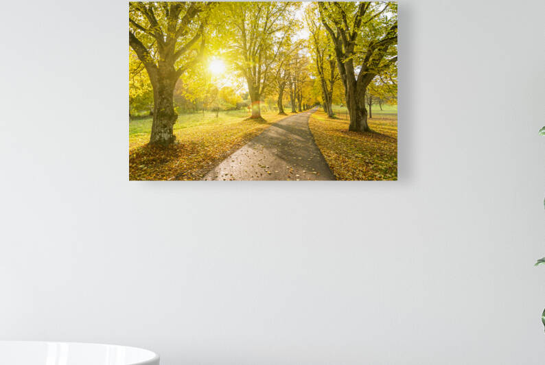 Autumn Road Reproduction