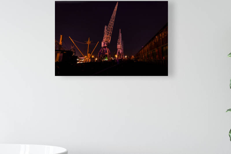 Night Cranes by caladoart