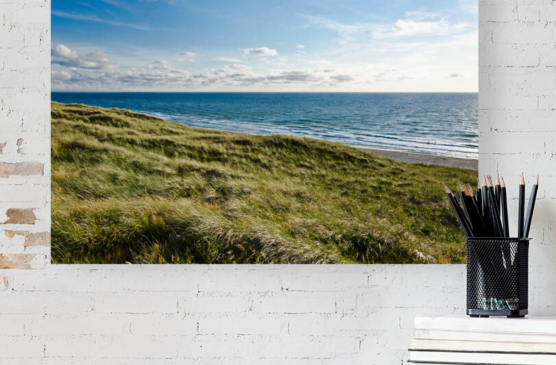 Dunes at the Ocean by caladoart