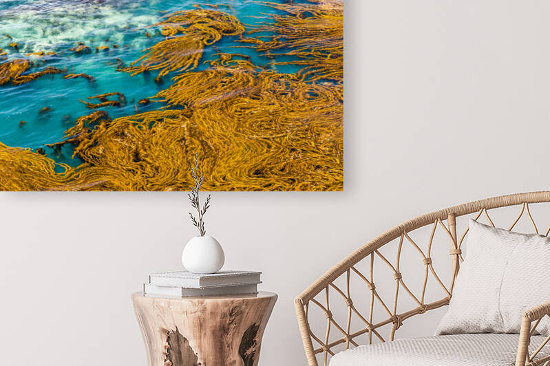 Sea Painting by caladoart