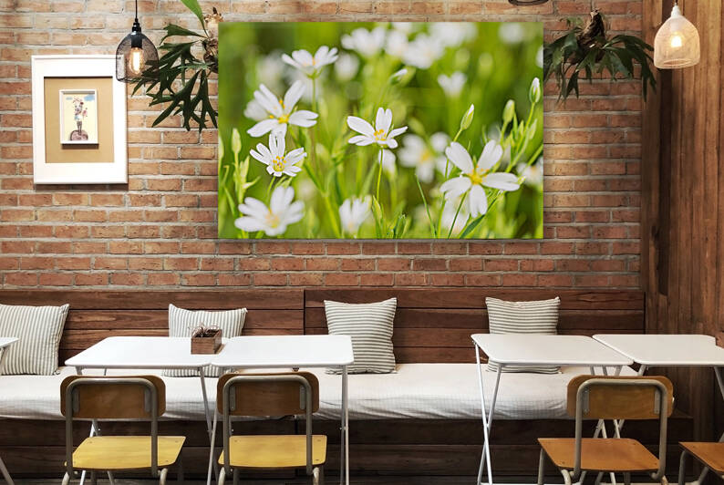White Flowers by caladoart