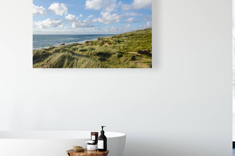 Dune Landscape by caladoart