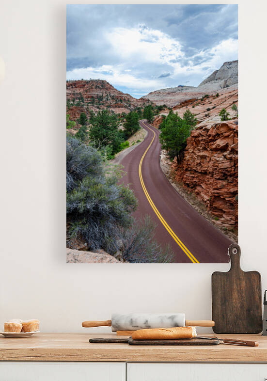 Curvy Desert Road by caladoart